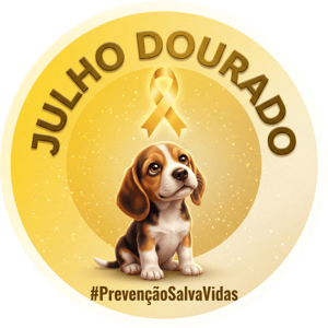 CAPA PAINEL REDONDO JULHO DOURADO | TECIDO PREMIUM  | VÁRIOS MODELOS - 1.50X1.50M E 50X50CM