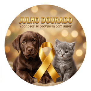 CAPA PAINEL REDONDO JULHO DOURADO | TECIDO PREMIUM  | VÁRIOS MODELOS - 1.50X1.50M E 50X50CM