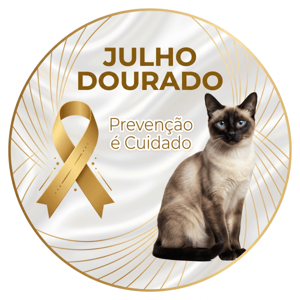 CAPA PAINEL REDONDO JULHO DOURADO | TECIDO PREMIUM  | VÁRIOS MODELOS - 1.50X1.50M E 50X50CM