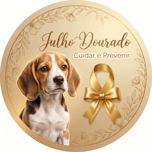 CAPA PAINEL REDONDO JULHO DOURADO | TECIDO PREMIUM  | VÁRIOS MODELOS - 1.50X1.50M E 50X50CM