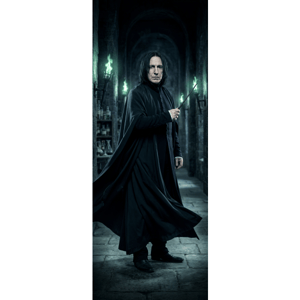 CAPA PAINEL PORTA HARRY POTTER | TECIDO PREMIUM  | VÁRIOS MODELOS - 85cm x 2.10M