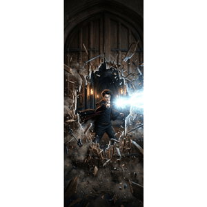 CAPA PAINEL PORTA HARRY POTTER | TECIDO PREMIUM  | VÁRIOS MODELOS - 85cm x 2.10M