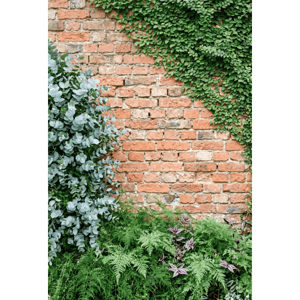 CAPA FUNDO FOTOGRÁFICO VERTICAL MURO INGLÊS | TECIDO PREMIUM | VÁRIOS MODELOS - 1.50X2.20CM