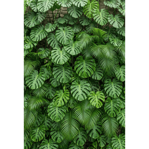CAPA FUNDO FOTOGRÁFICO VERTICAL MURO INGLÊS | TECIDO PREMIUM | VÁRIOS MODELOS - 1.50X2.20CM