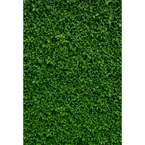 CAPA FUNDO FOTOGRÁFICO VERTICAL MURO INGLÊS | TECIDO PREMIUM | VÁRIOS MODELOS - 1.50X2.20CM