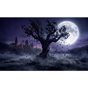 CAPA FUNDO FOTOGRÁFICO HORIZONTAL HARRY POTTER | TECIDO PREMIUM | VÁRIOS MODELOS - 1.50X2.20CM
