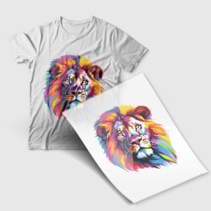 Adesivo termocolante (DTF textil)      