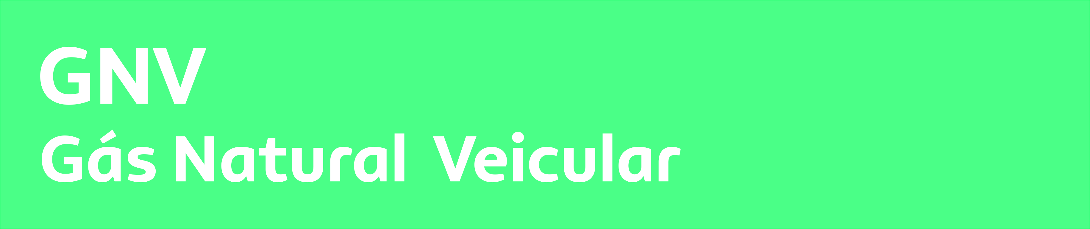 Adesivo Bico GNV 31x6,5cm