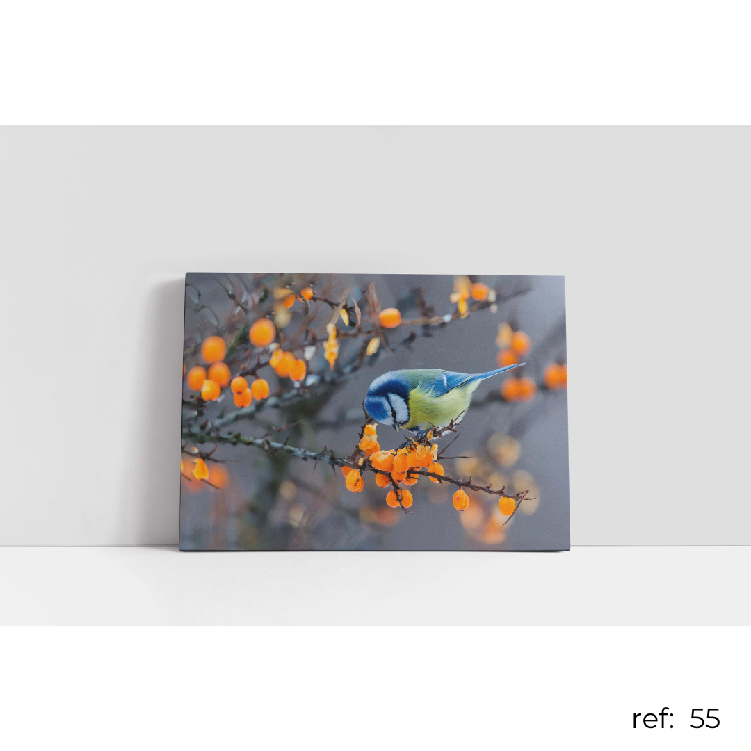 Quadro de Animais