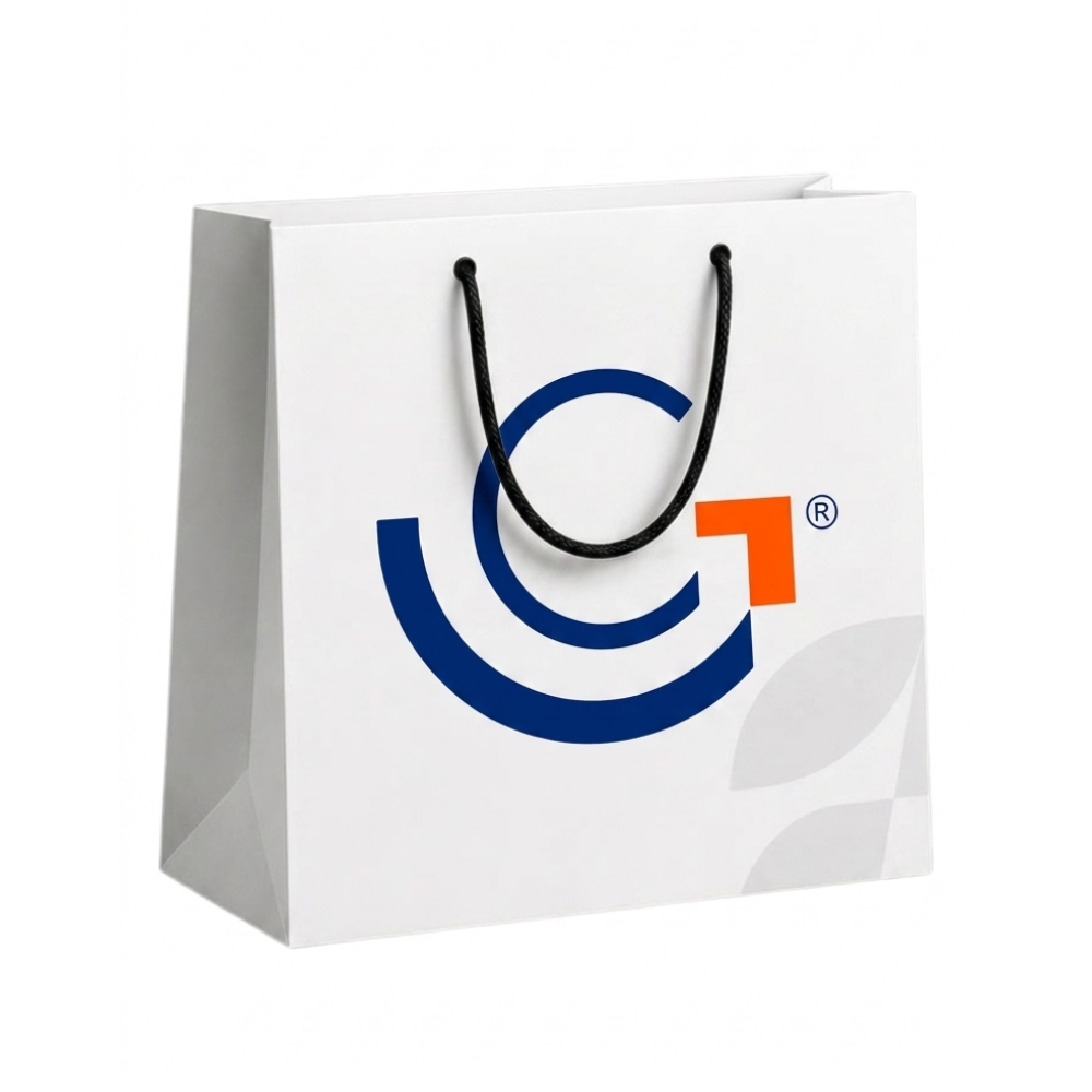 Sacola de Papel Personalizada