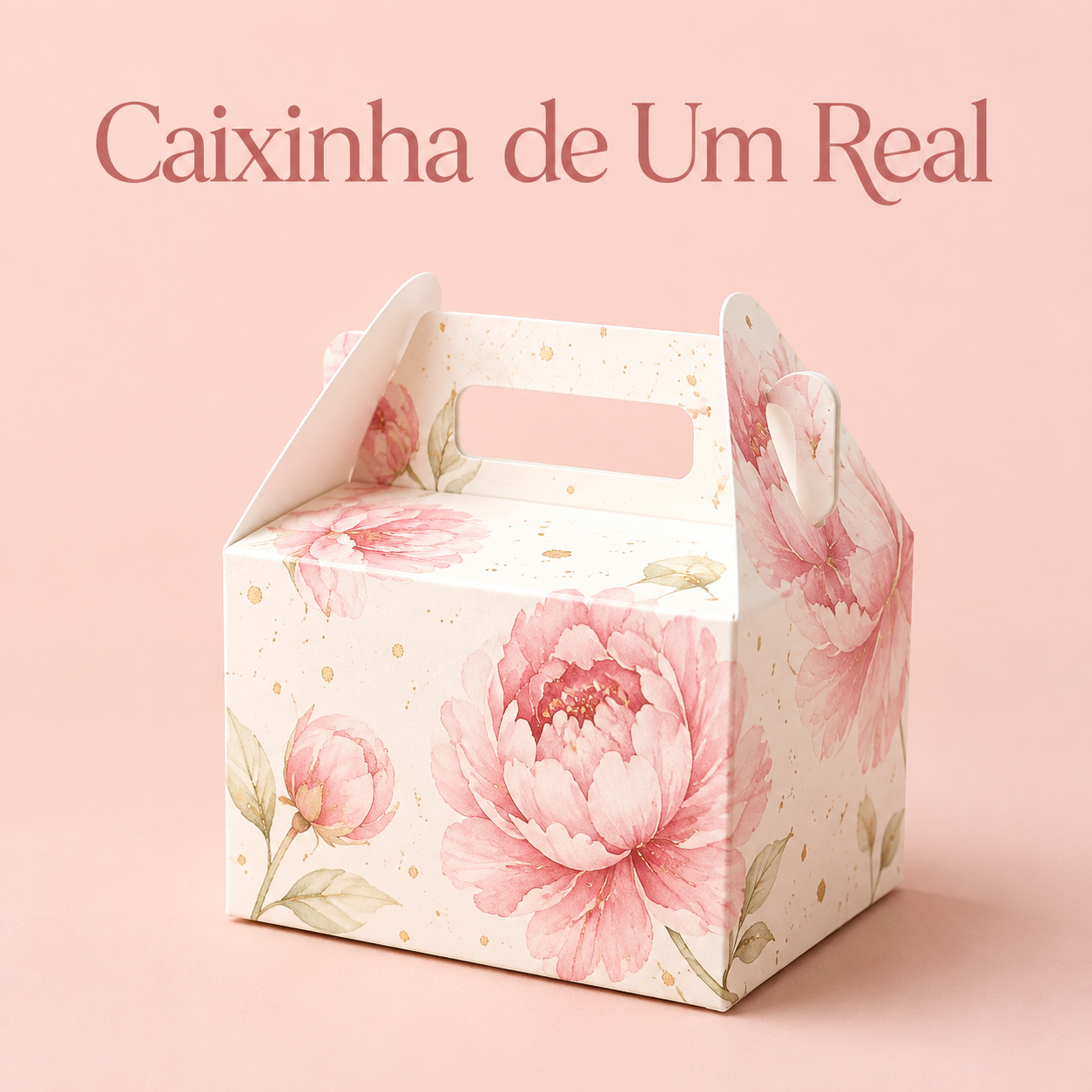 Caixinha de 1 real - Recorte em Offset
