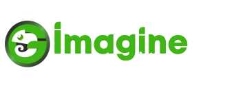 IMAGINE VIX