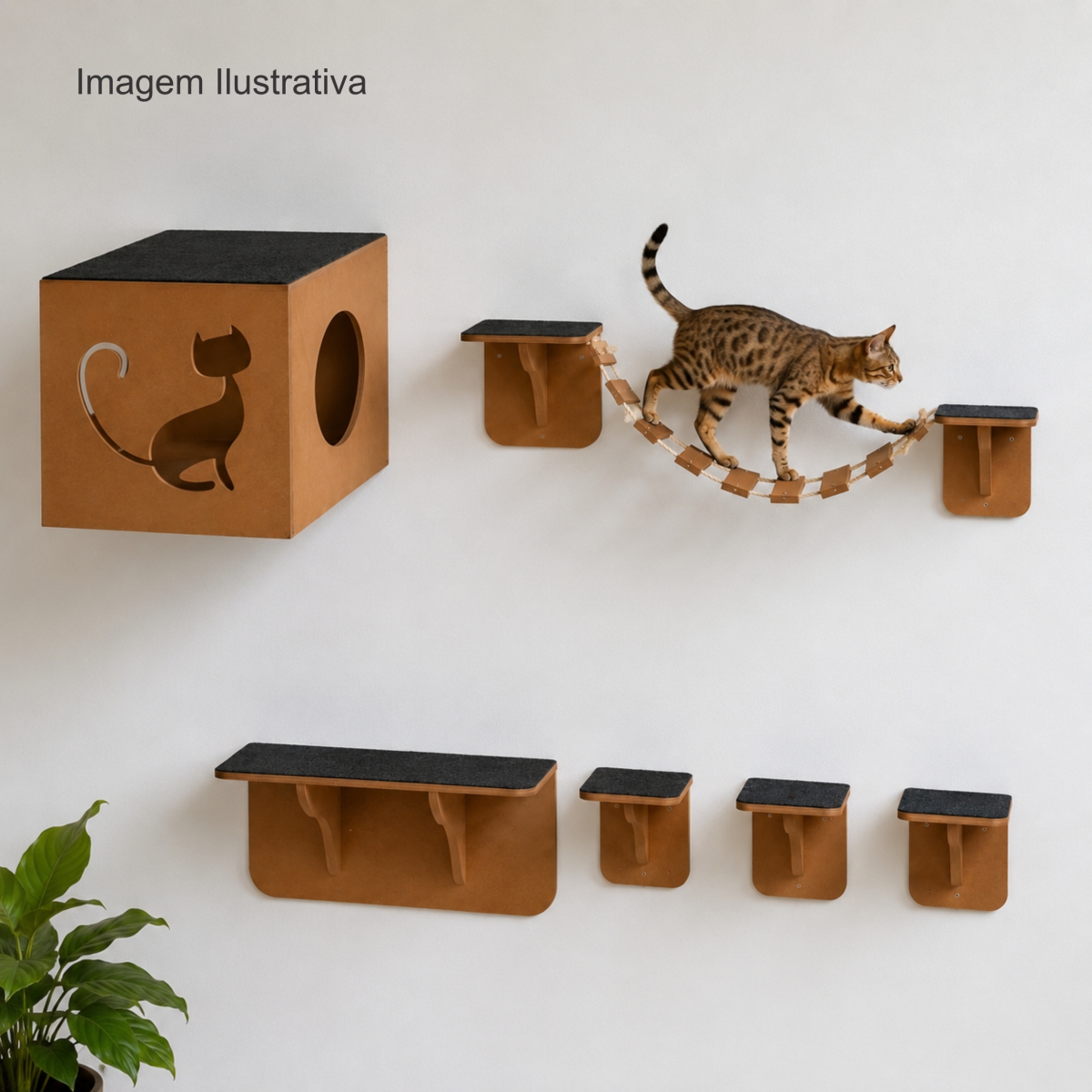 Playground Para Gatos