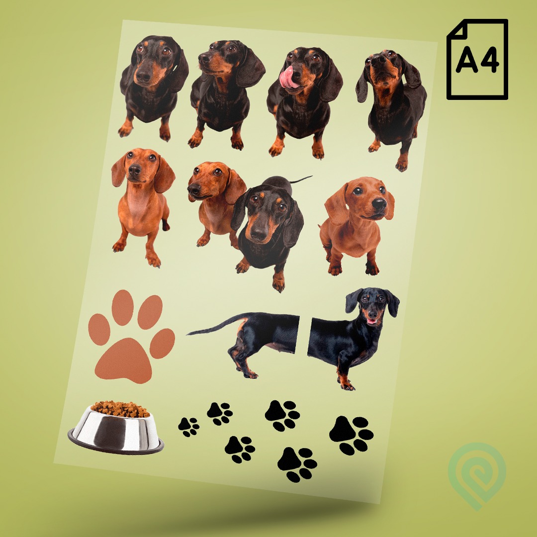 Cartela A4 DTF UV/TÊXTIL – PET LOVERS 01 Cachorro Salsicha Dachshund