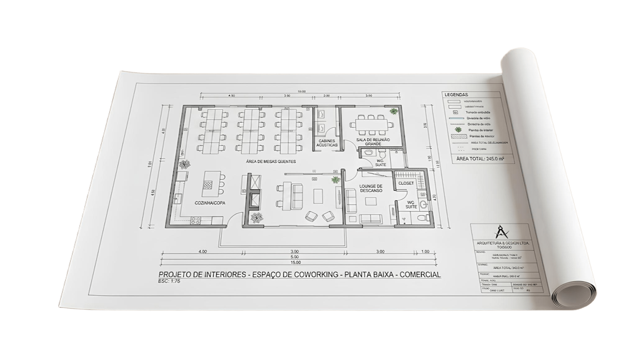 Plotagem A2 Monocromática (P&B)