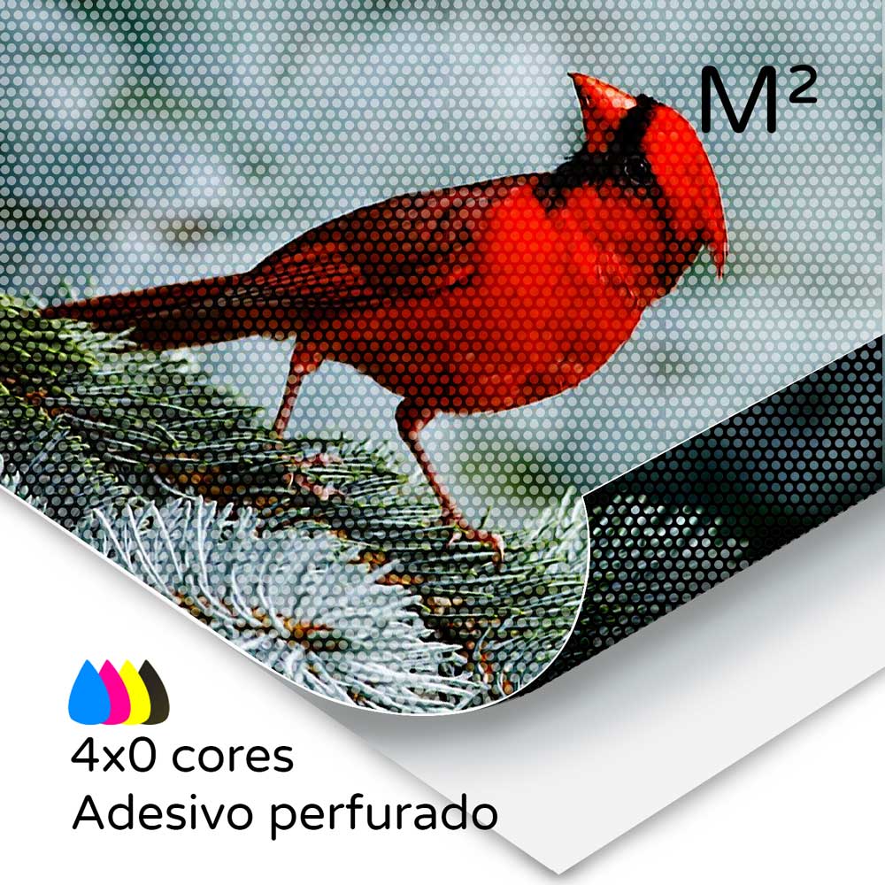 Vinil adesivo perfurado