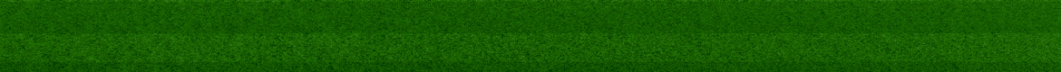 BANNER VITRINI