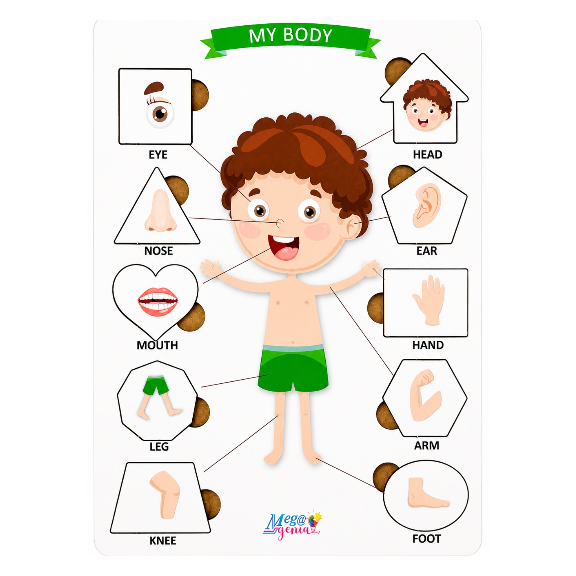 Brinquedo Educativo Tabuleiro Encaixe Inglês Corpo Humano Menino Mdf