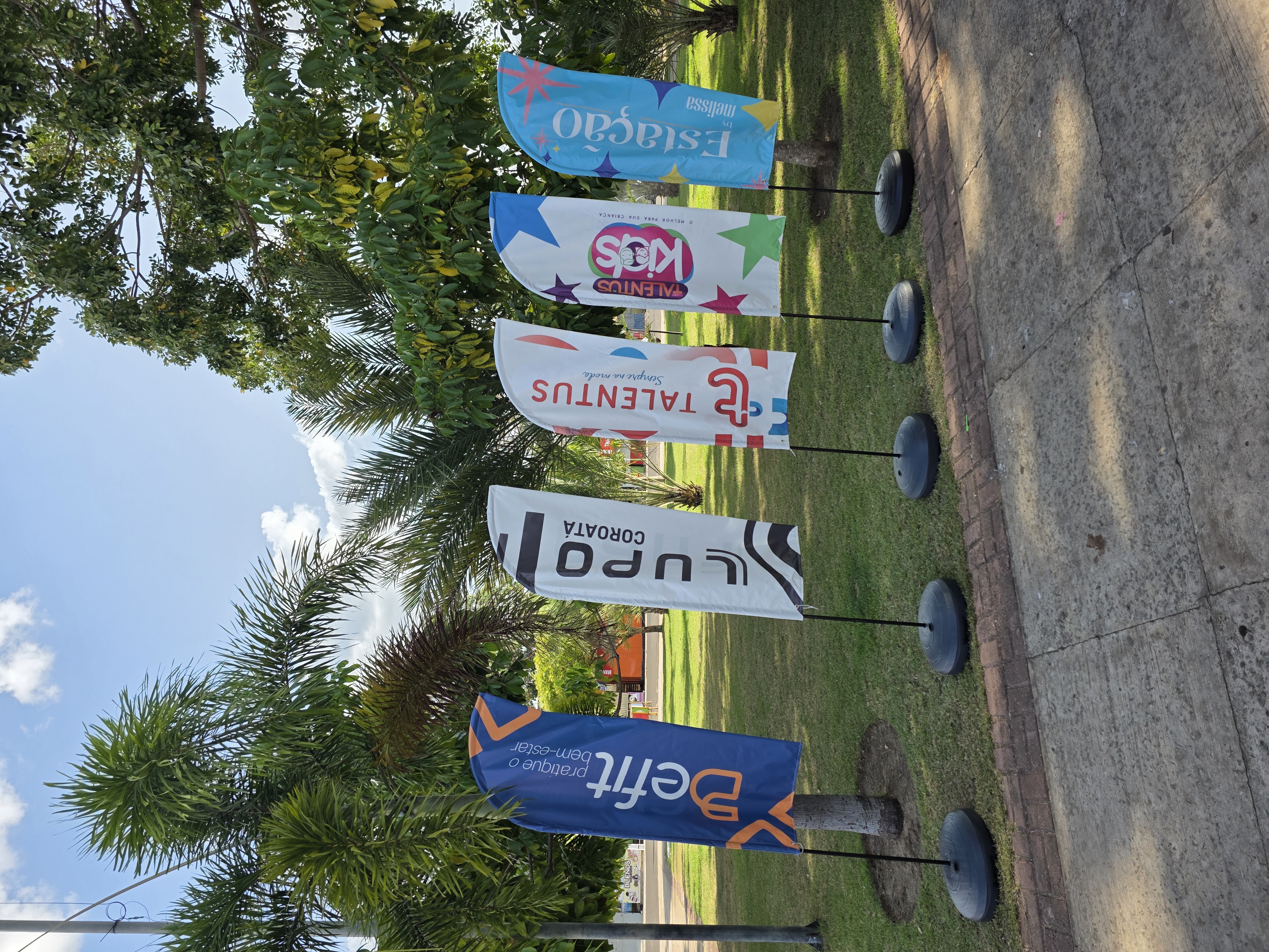 Wind Banner Pequeno completo