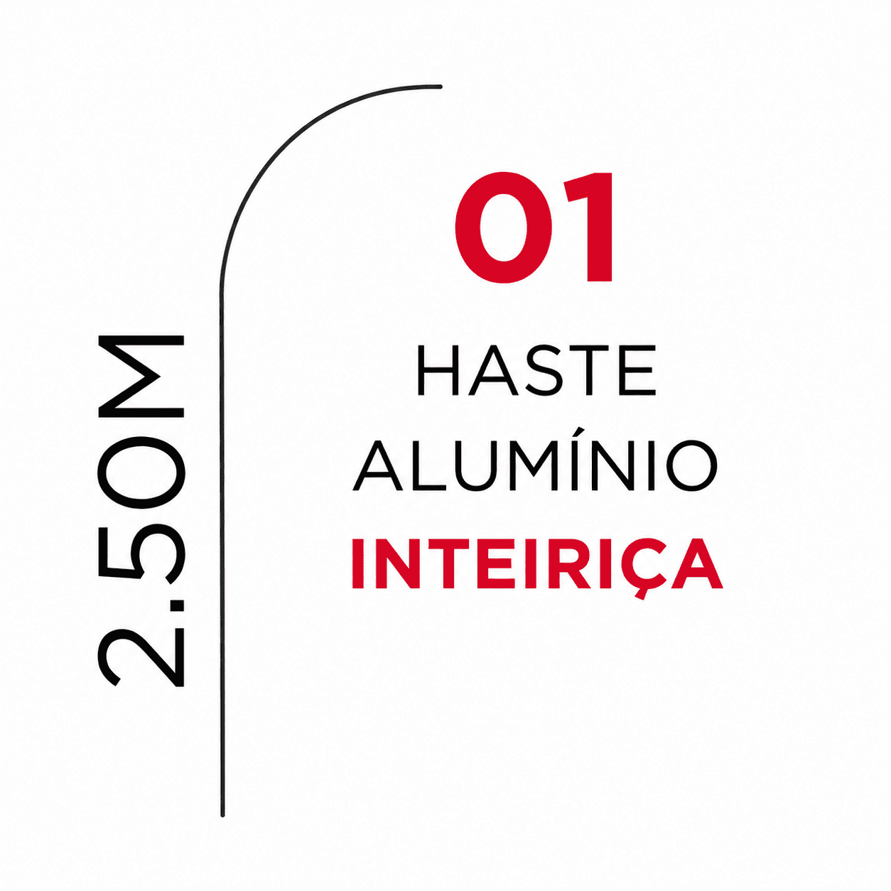 01 HASTE INTEIRIÇA PROMOCIONAL